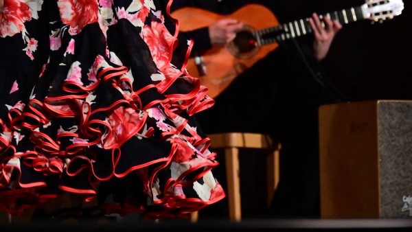 Flamenco Afición